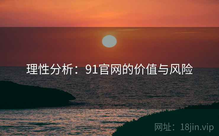 理性分析：91官网的价值与风险  第2张