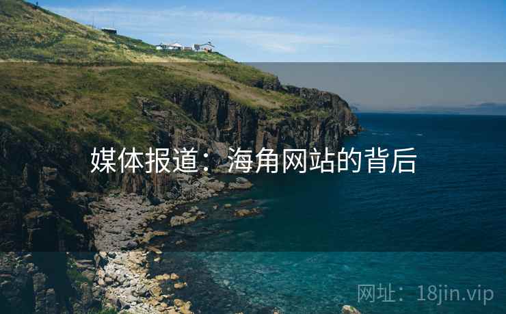 媒体报道：海角网站的背后