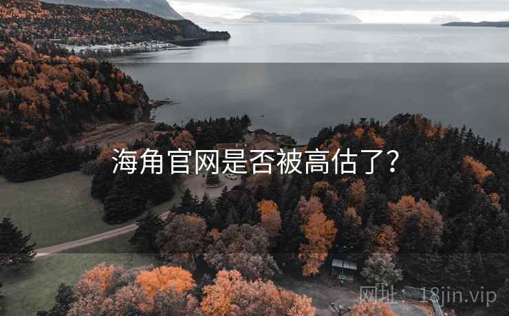 海角官网是否被高估了？