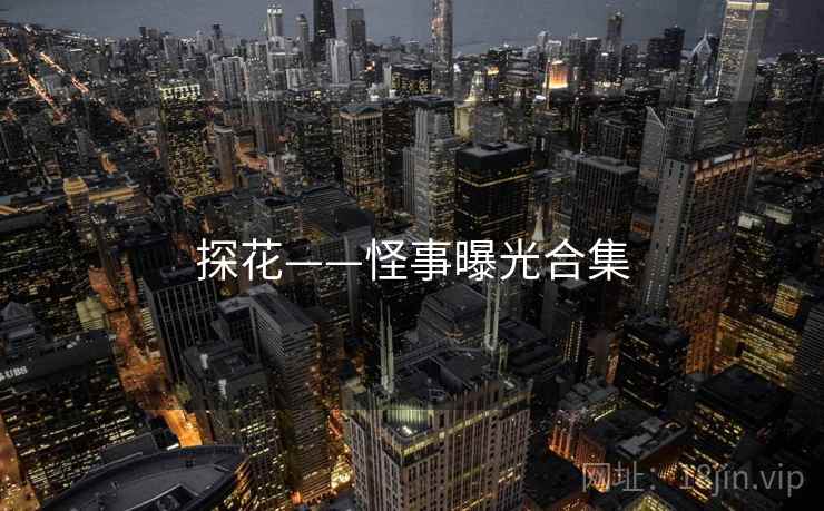 探花——怪事曝光合集